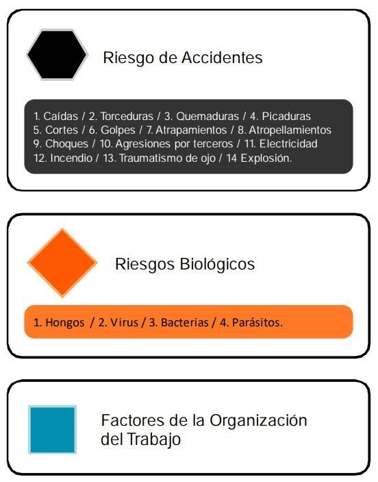 La Importancia De La Simbolog A En El Transporte De Carga