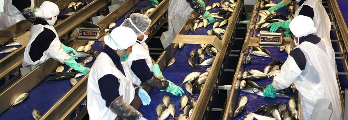 A qué debemos denominar medio ambiente de trabajo según la Ley 29783