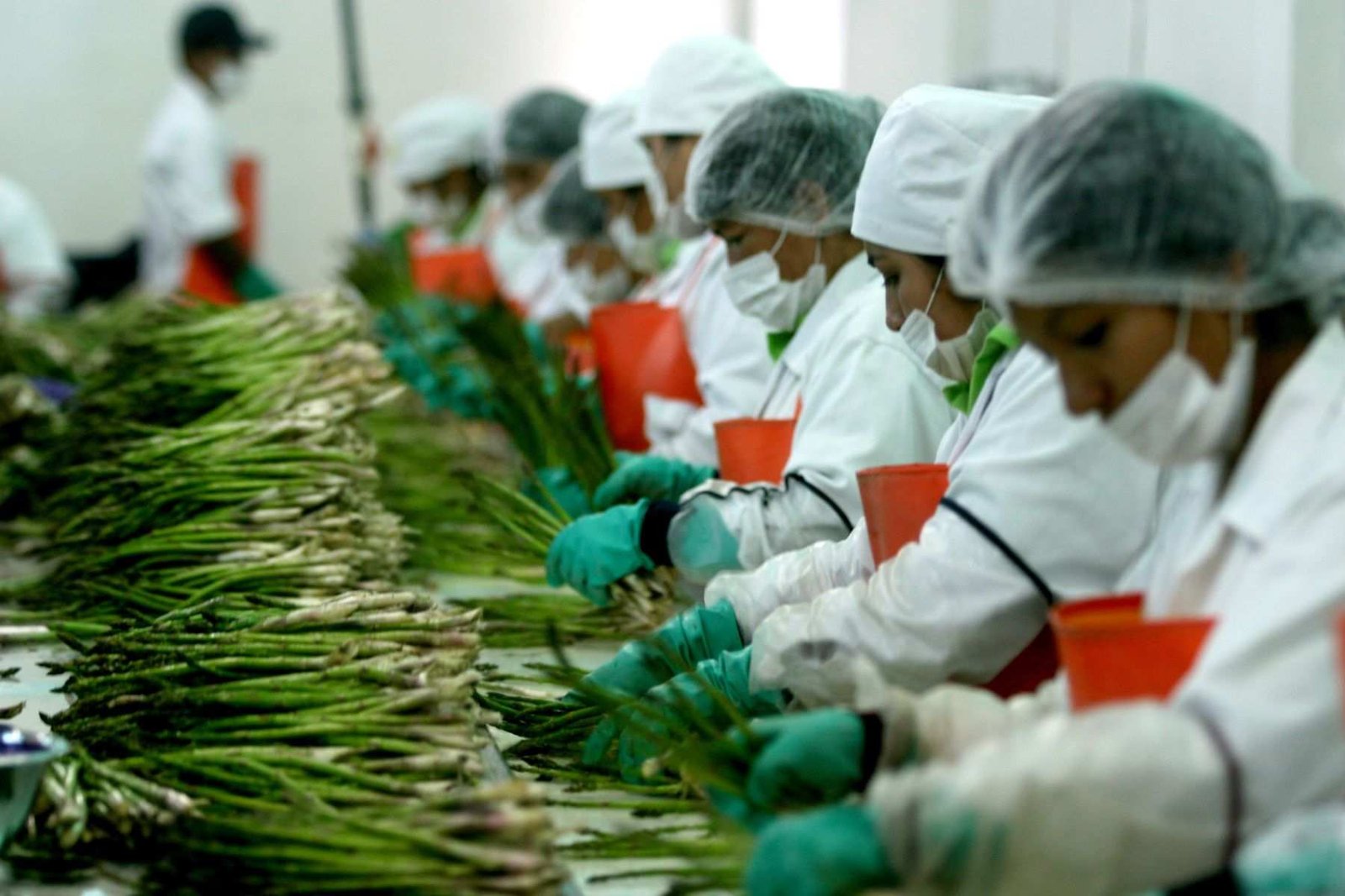 Salud en el Trabajo los tipos de ausentismo laboral en la empresa