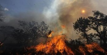 Cómo atacar los incendios forestales de forma segura