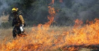 Métodos seguros para combatir los incendios forestales