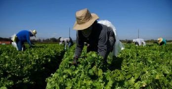 Medidas de seguridad para evitar el cáncer cutáneo ocupacional