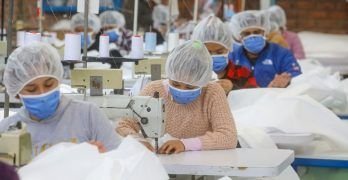 Todos los seguros que protegen a emprendedores y trabajadores dependientes