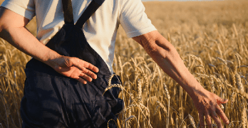 Las capacitaciones que deben tener los trabajadores en granjas