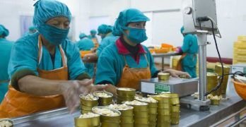 Los beneficios de contar con el plan anual de seguridad y salud ocupacional