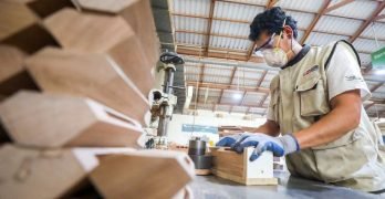 Conoce cómo es la implementación de un Consejo Regional de Seguridad y Salud en el Trabajo