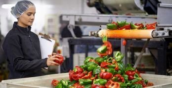 Riesgos específicos de industria agroalimentaria