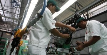 Qué saber de la designación del observador en el Comité de Seguridad y Salud en el Trabajo